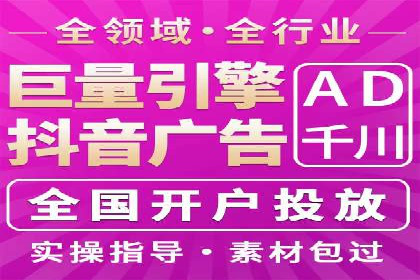 SEM广告投放中的数据监控与调整策略——以某品牌营销案例为例